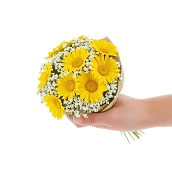 Enchanting Daisy Garden