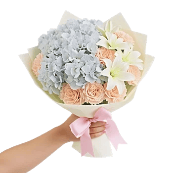 Serene Petal Harmony