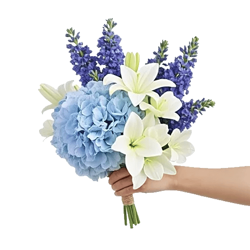 Sapphire Bloom Whisper