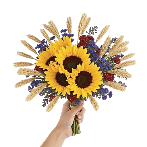 Twinkling Sunflower Dance