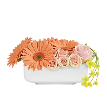 Petal Harmony Bliss