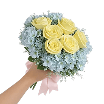 Pastel Blossom Grace