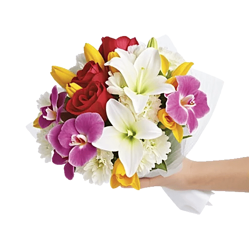 Minimalist White Orchids