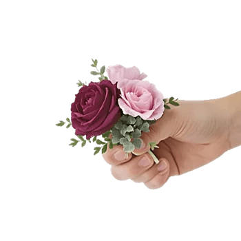 Plum Blossom Radiance