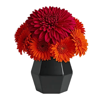 Crimson Blossom Harmony