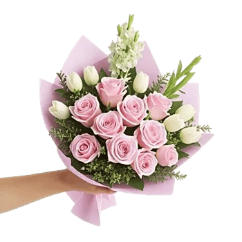 Pastel Pink Roses