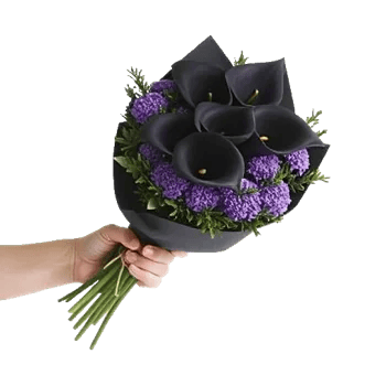 Elegant Calla Lilies