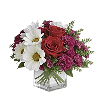 Crimson Rose Elegance