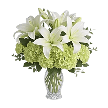Ivory Blossom Radiance
