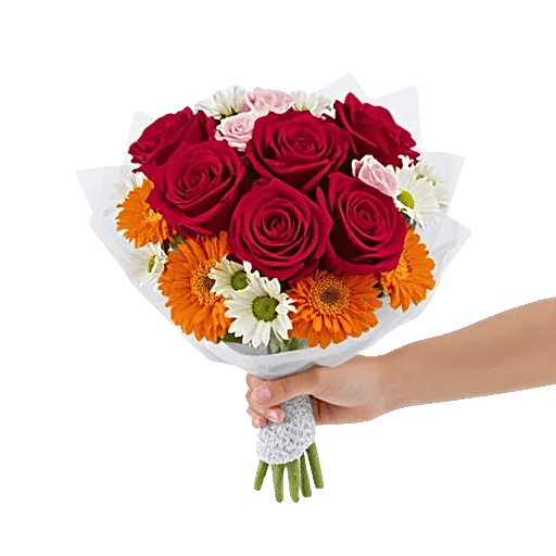 Crimson Rose Elegance