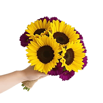 Amber Sunflower Glow