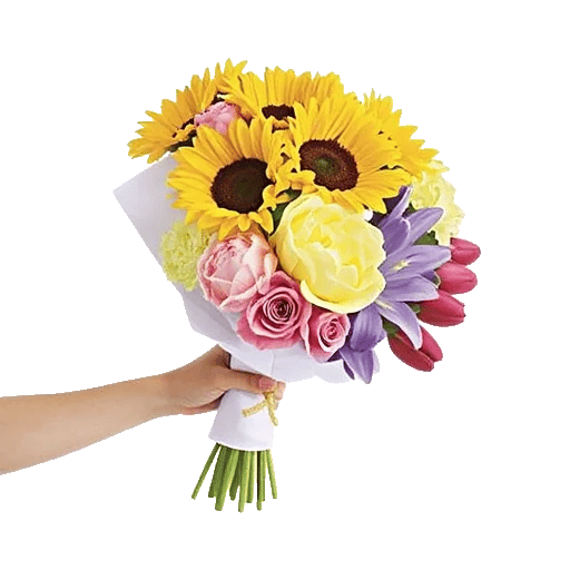 Radiant Bloom Cascade