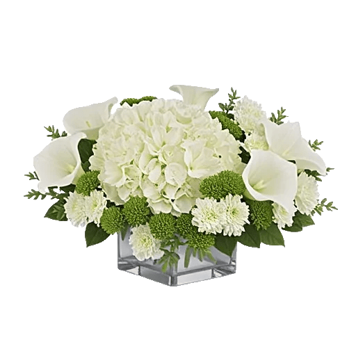 Graceful Lily Display