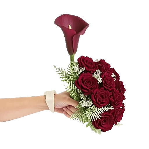 Elegant Calla Lilies