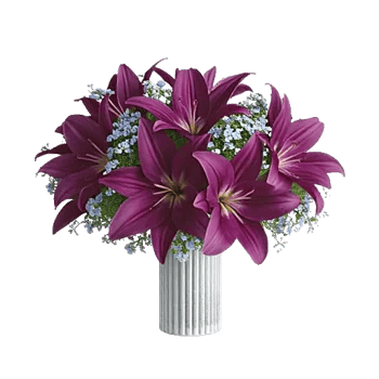 Graceful Lily Display