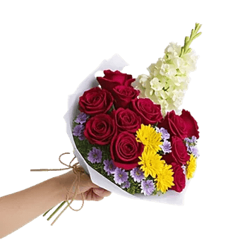 Crimson Rose Elegance