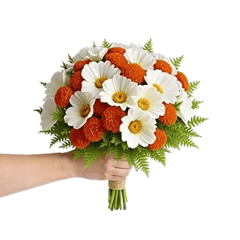 Serenity Orchid Bloom