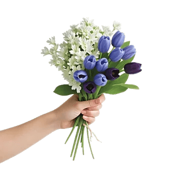 Blossom Harmony Display