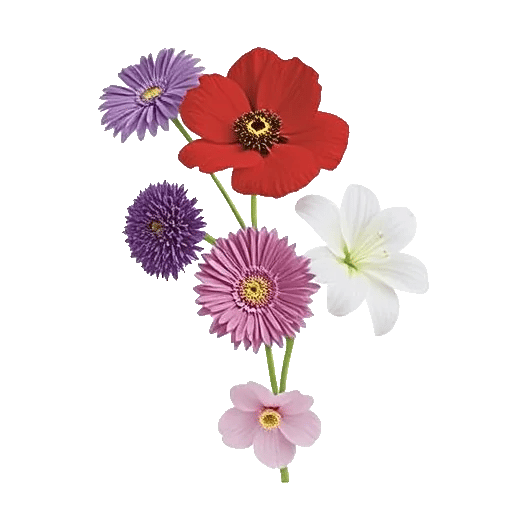 Ivory Blossom Radiance