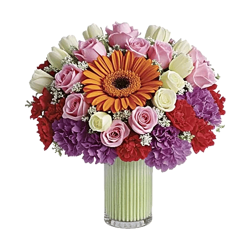 Petal Radiance Bliss