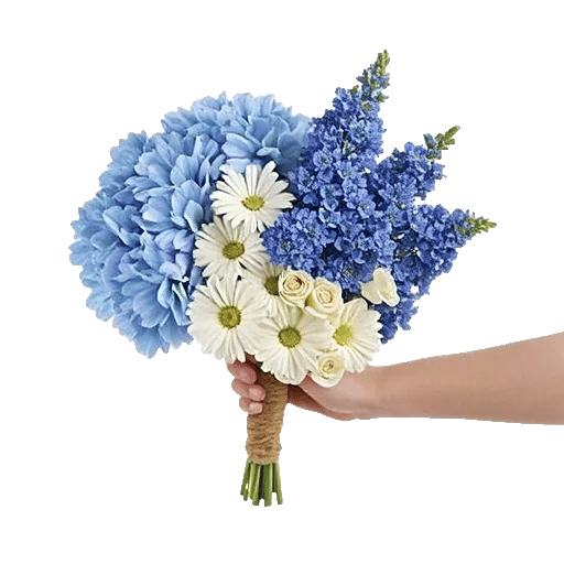 Serene Petal Harmony