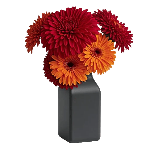 Crimson Blossom Harmony