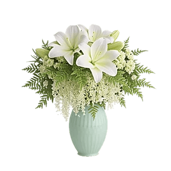 Ivory Blossom Radiance