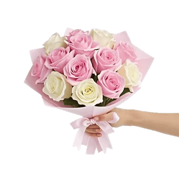 Pink Pastel Roses
