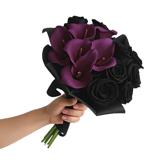 Elegant Calla Lilies