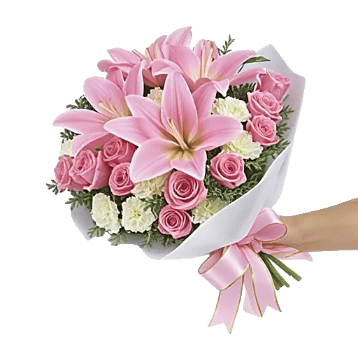 Blushing Rose Symphony