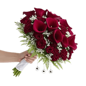 Elegant Calla Lilies