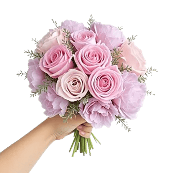 Pastel Pink Roses
