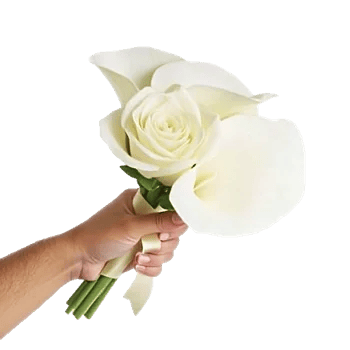 Ivory Garden Grace
