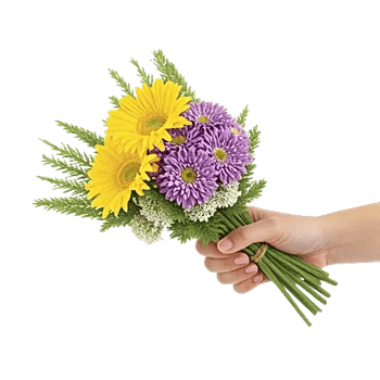 Enchanting Daisy Garden