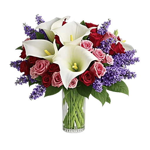 Elegant Calla Lilies