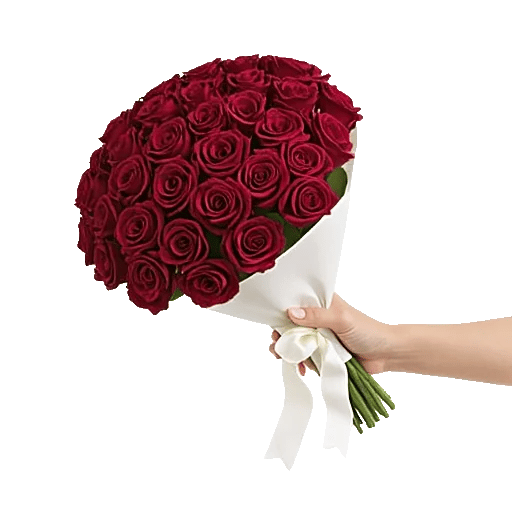 Crimson Rose Elegance