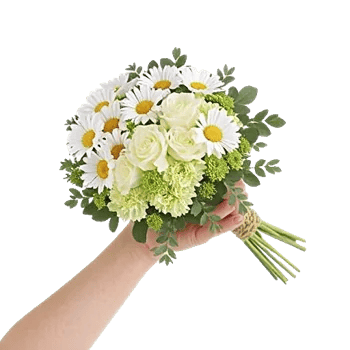Enchanting Daisy Garden