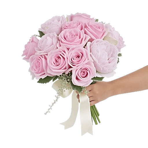 Pastel Pink Roses