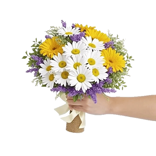 Petal Harmony Bliss
