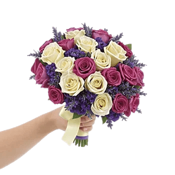 Blushing Rose Symphony