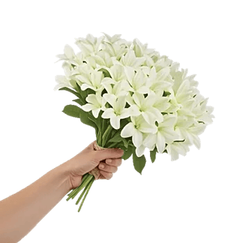 Minimalist White Orchids