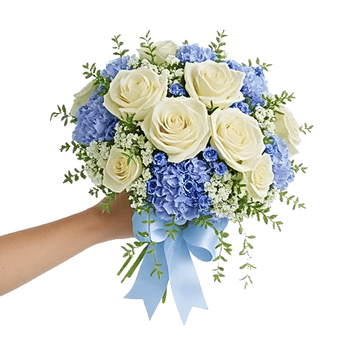 Serene Petal Harmony