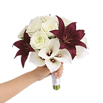 Elegant Calla Lilies
