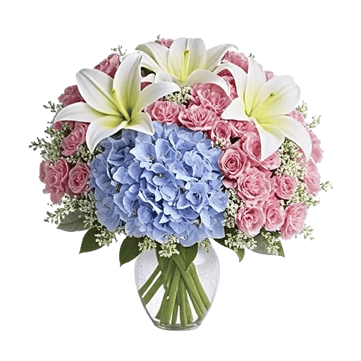 Ivory Blossom Radiance