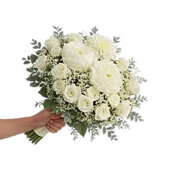 Ivory Blossom Radiance