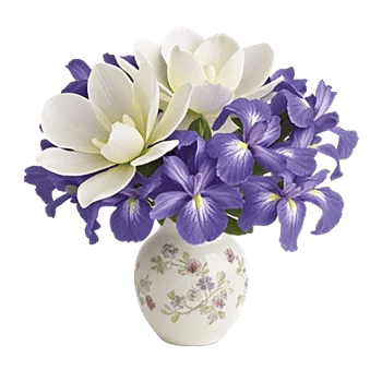 Ivory Blossom Radiance