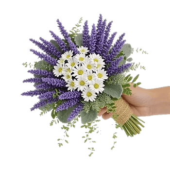 Lavender Bloom Grace