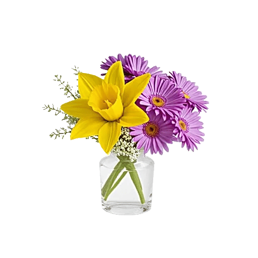 Petal Radiance Bliss
