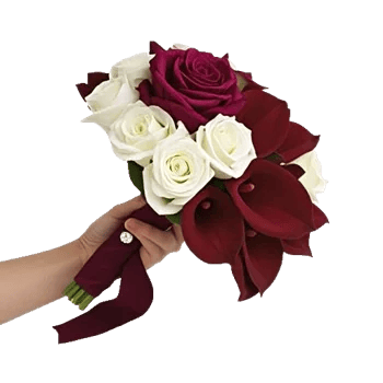 Blushing Rose Symphony