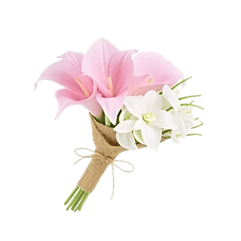 Elegant Calla Lilies